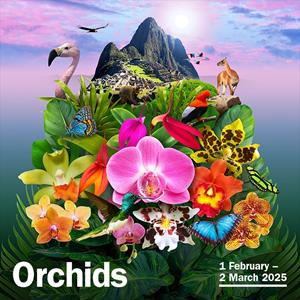 Orchid Festival - Member Entry