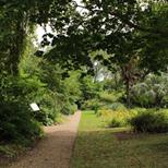 Unearthing Texts, Tonics & Trees