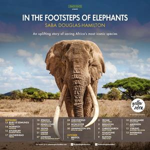 In The Footsteps Of Elephants