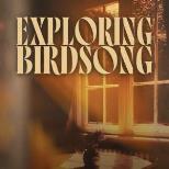 Exploring Birdsong