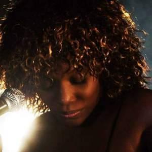 Tina Tuner Tribute Night - Stourport