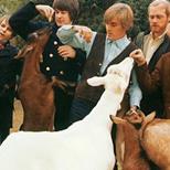 Pet Sounds Revisited (60th Anniversary)