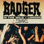 Badger In The Wild: London