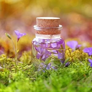 Family Halloween: Potion Making Family Halloween: Potion Making