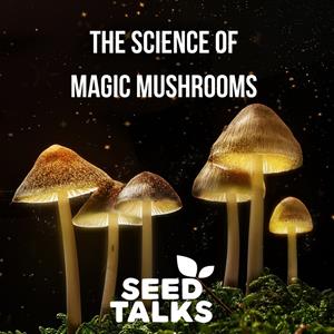 The Science Of Magic Mushrooms