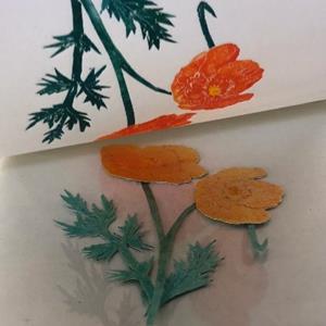 Botanical Tetrapak Printmaking Workshop