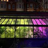 Weird Love After Dark