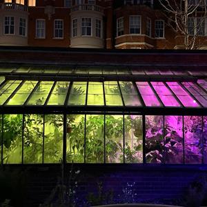 Weird Love After Dark