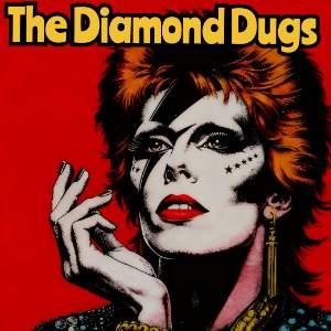 The Diamond Dugs Present: The Music of David Bowie