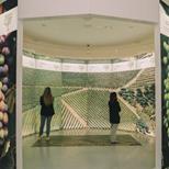 Visita Às Caves Taylor's + Museu Wow