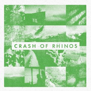 Crash Of Rhinos