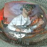 Special Guest, Borough Council, Opal Mag