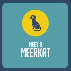 Beale Wildlife Park - Meet A Meerkat