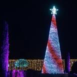 Northampton Winter Light Trail