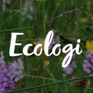 Carbon Offset Donation