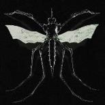 Wax Head live at SOUP