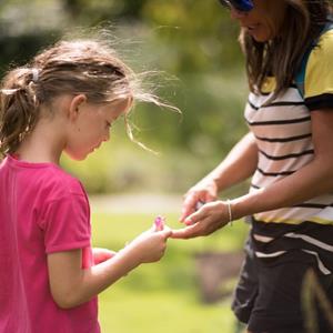 Family: Cyanotype Making