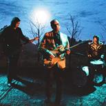 Kid Congo & the Pink Monkey Birds