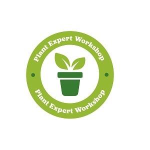 Workshop with Plant Experts: Growing from a seed