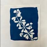 Cyanotype Printmaking For Beginners