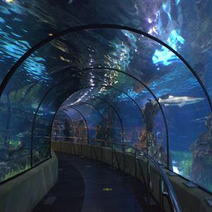 L'Aquarium De Barcelona