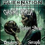 CHASING OPHELIA - VELVET DEAD - BODAS - SERAPH