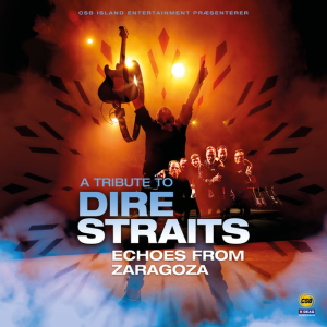 A Tribute To Dire Straits