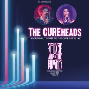 The Cureheads, Siouxsie & The Budgiees