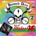 HAYSEED DIXIE +SUPPORT