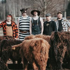Steve 'n' Seagulls