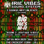 Irie Vibes Sound System presents Big Toes Hifi