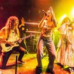 Solstice + Square Wild