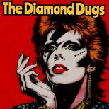 The Diamond Dugs Present: The Music of David Bowie