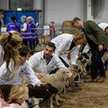 Scottish Smallholding & Countryside Festival