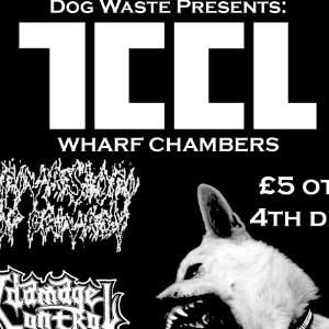 TCCL, INVASION OF PRIVACY, DAMAGE CONTROL...