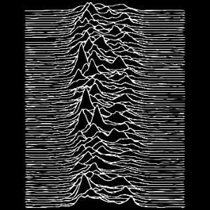 JOY DIVISION UNDERCOVER