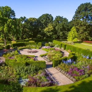 Alice in Wonderland - The Savill Garden Alice in Wonderland - The Savill Garden