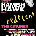 A Christmas Celebration In Aid Of Gig Buddies