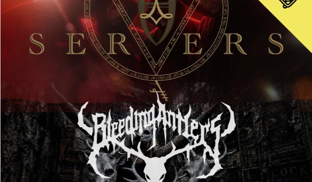 Servers + Bleeding Antlers