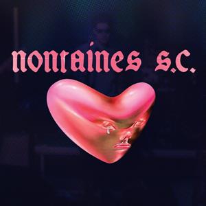 Nontaines S.C. (Fontaines D.C. Tribute)