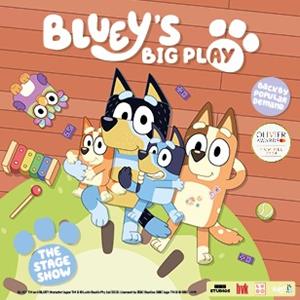 BLUEY'S BIG PLAY