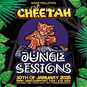 Noise Pollution Jungle Sessions: Cheetah