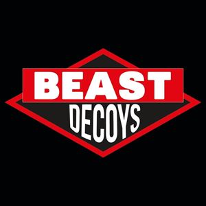 Beast Decoys - tribute to Beastie Boys Beast Decoys - tribute to Beastie Boys