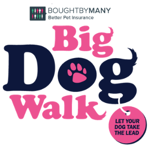 Big Dog Walk