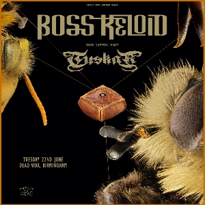 BOSS KELOID BOSS KELOID