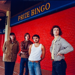 Buzzard Buzzard Buzzard Buzzard Buzzard Buzzard