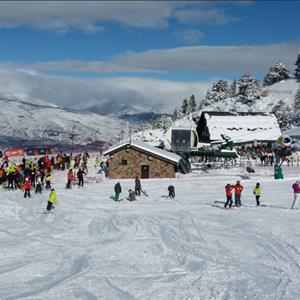 Masella