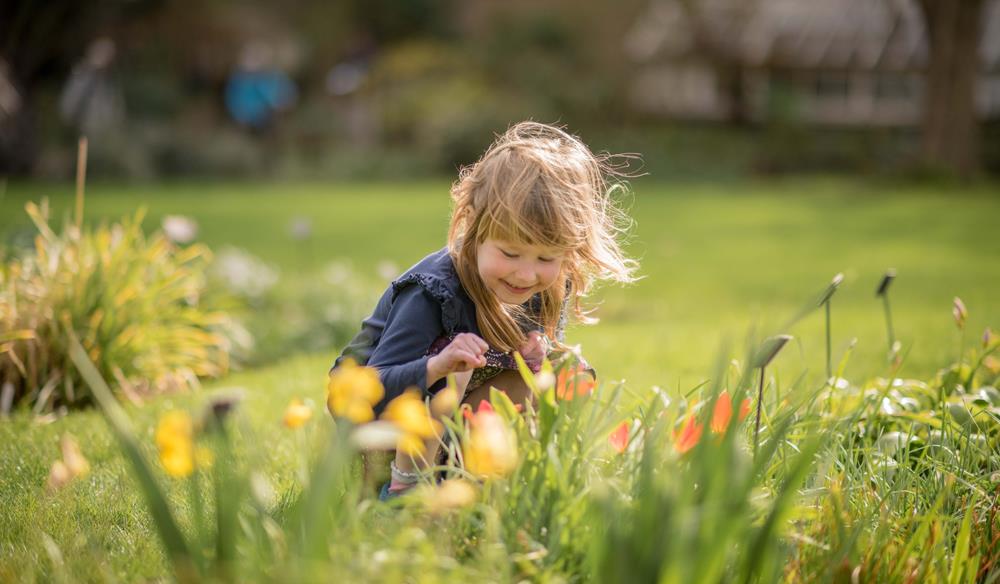 Family Kids Lab: Friendly Insects Meet and Greet