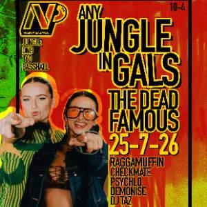 Noise Pollution- Any Jungle In Gals