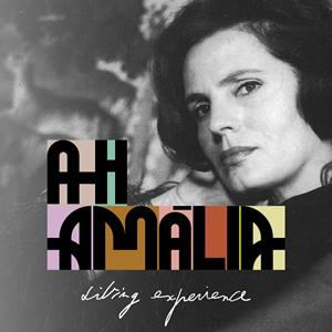Ah Amália - Living Experience Porto Ah Amália - Living Experience Porto
